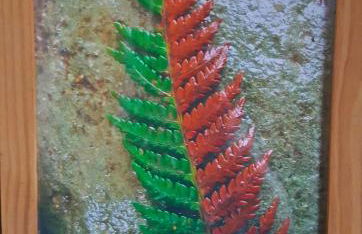 Catskills Aframe, Water View, Goat Sanctuary - Foto 47