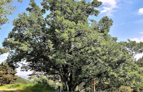 Villa Carmen del Rosal - Foto 29