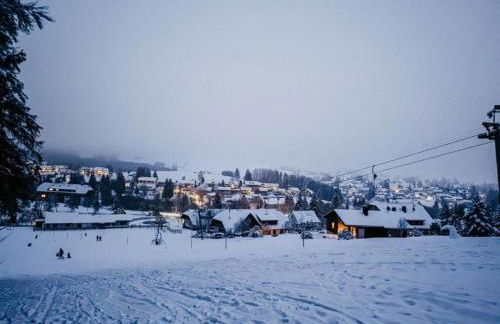 Ferienwohnung im Schwarzwald mit Garten - Foto 30