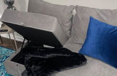 THE ROOFTOP OASIS - Foto 19