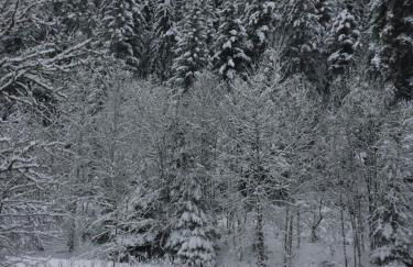 Le cosy de la vologne - Foto 16