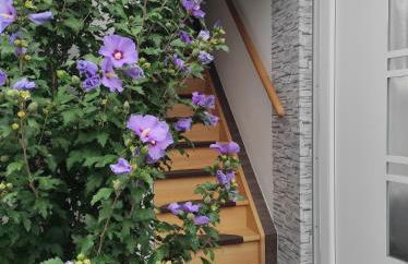 Ferien- Monteurwohnung bis 6 Personen - Foto 13