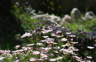 LIORIZA Country Houses - Foto 79