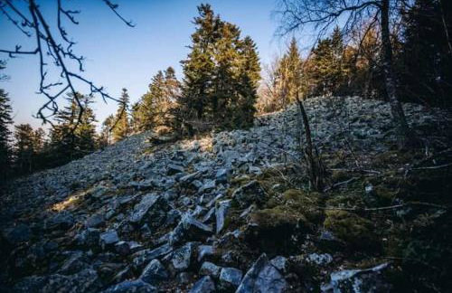 Noclegi Święta Katarzyna ,, Pod Jeleniami "prawdziwymi - Foto 26