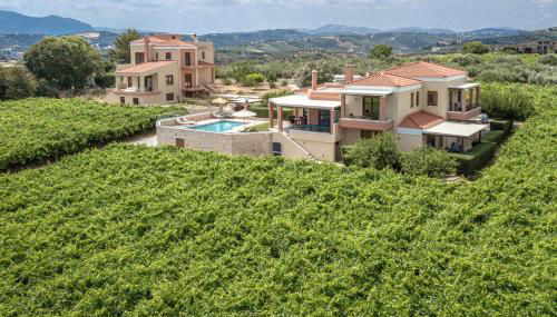 Cretan Vineyard Hill Villa 2 - Foto 4, Garden, sunbed, Garden view