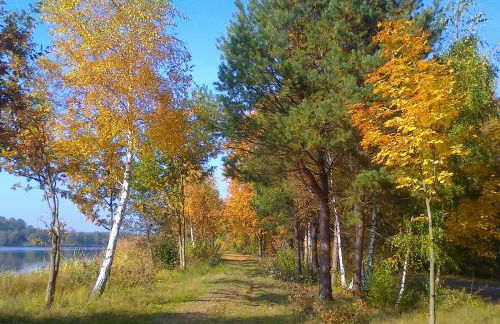 Ferienwohnung Hainbuche Lübben im Spreewald - Foto 40
