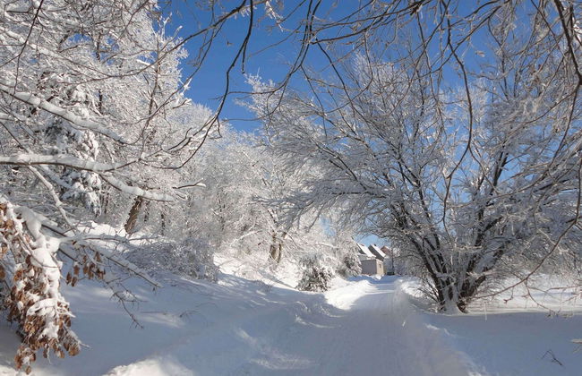 Hill-view Holiday Home in Dankerode Near Lake and Hiking - Foto 43