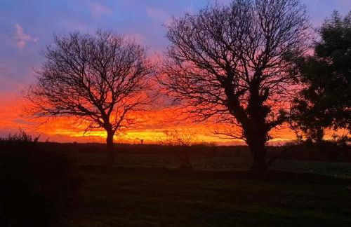 La rêverie - Foto 30