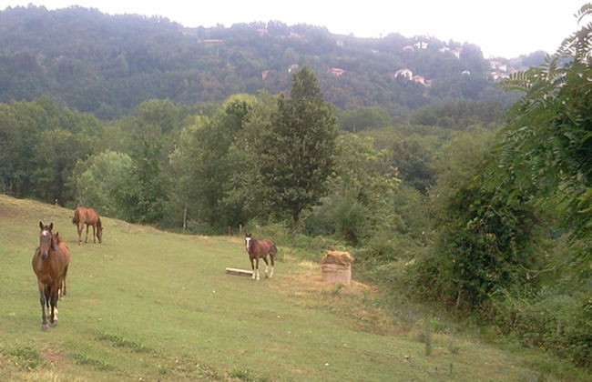 la debbia ranch - Foto 70