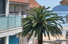 La Escollera Noja - Foto 9