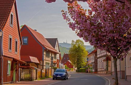 Haus Ilsegarten - Foto 36