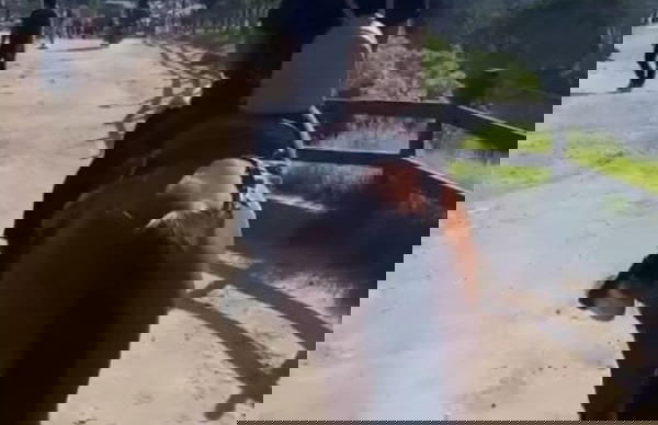 Hakuna Matata Glamping Salento Pumba - Photo 18