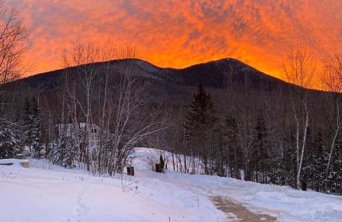 Ski In and Out! Black Mountain Resort Townhome - Foto 31