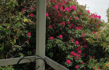 Treeside woodhouse - Foto 59