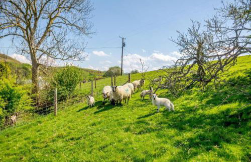 1 Bed in Llannefydd oc-p32089 - Foto 24