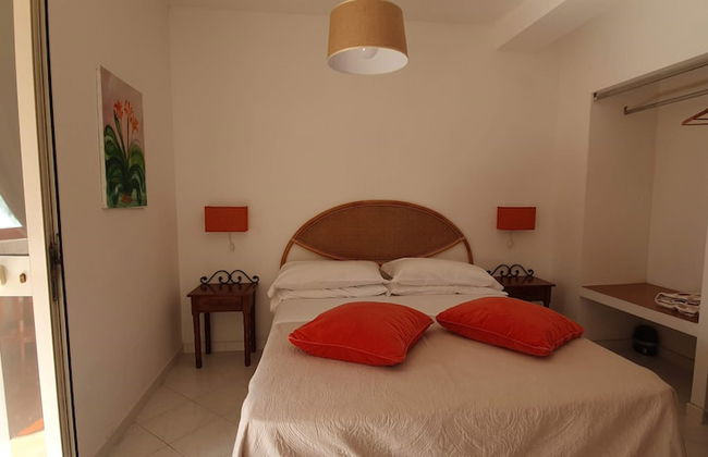 Fattoria Terranova - Foto 11