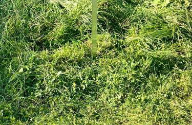 Apartament GREEN CROWNS - Foto 46