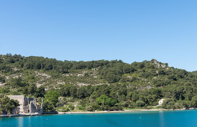 Apartments Angelo - Foto 51