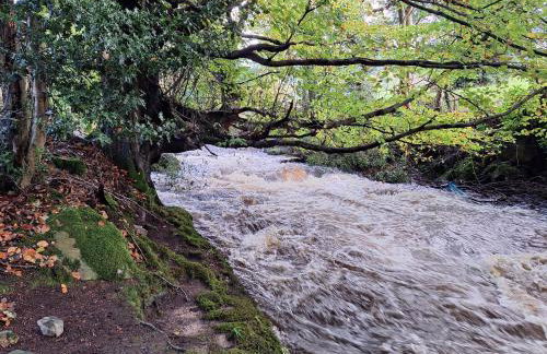 Ryan's Cottage - Photo 67