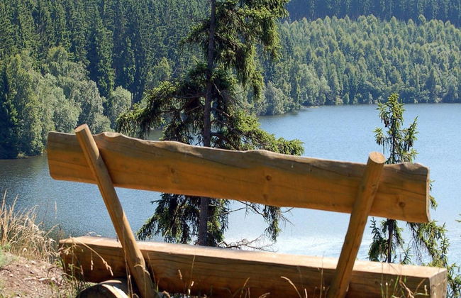 Doppelhaushalfte in Hasselfelde - Foto 16