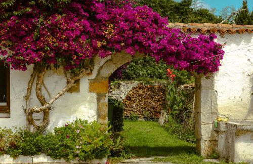 La casa de los árboles - Foto 6