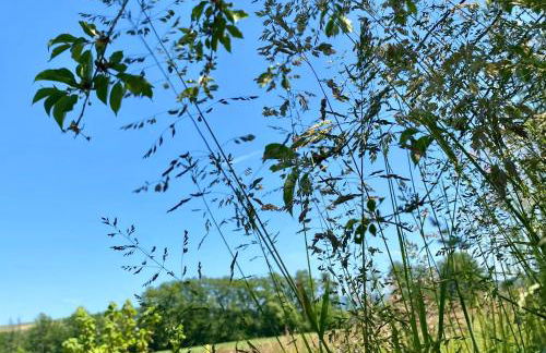 RHÖN GLÜCK - Die Ferienwohnung mit Weitblick - Foto 26