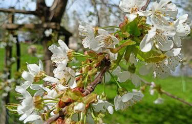 Wolfsgrund 14 - Foto 20