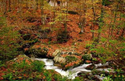 Charming Apartment in Villamayor – 40 m² – Parking Included - Foto 17