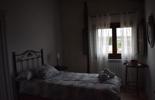 Tierras de Aguilera - Foto 38