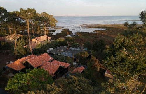 Villa Lège-Cap-Ferret - piscine - vue bassin - Foto 35