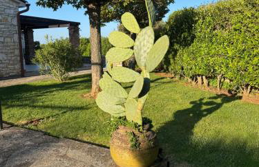 Villa Leopoldo by Istrian Country Houses - Foto 72