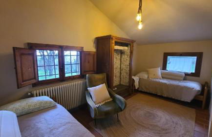 Stirpe nel Bosco - Fiocco - Foto 15