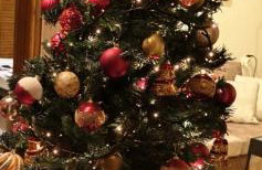 Villa Axiothea - Foto 18