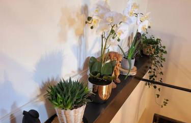 Duplex bohème chic - Foto 28