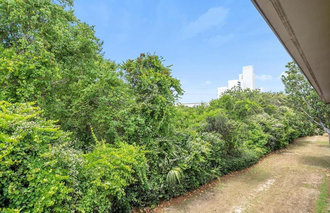 Cassine Gardens 112- 30A Imagine Ocean - Foto 32