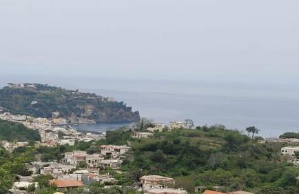 Giamè House Ischia - Foto 26