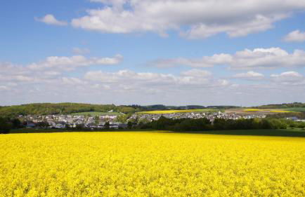 Ferienhaus am Flaumbach - Foto 28