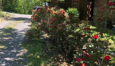 Beautiful Secluded Log Cabin - Foto 2