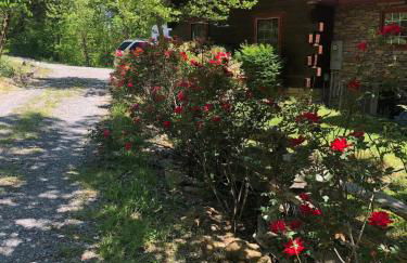 Beautiful Secluded Log Cabin - Foto 2