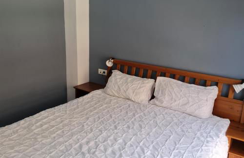 APARTAMENTO PISCIS LITORAL - Photo 9