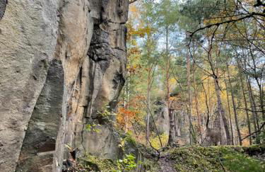 fewo-elzerhof - Foto 34