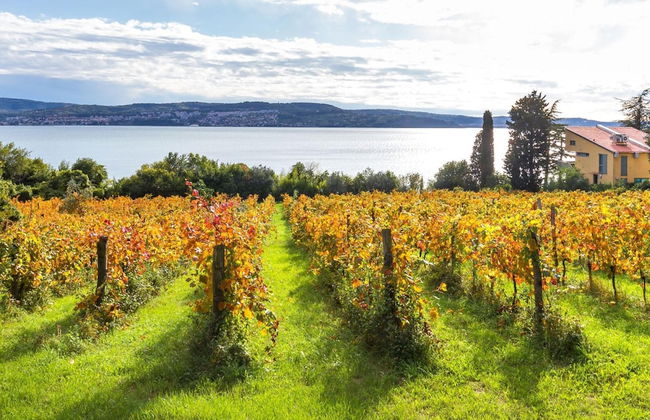 Panorama Seaview Kolomban - Foto 50