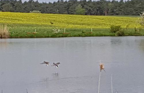 Stawy u Sikory - Dom Rybak - Agroturystyka i łowisko - Foto 25