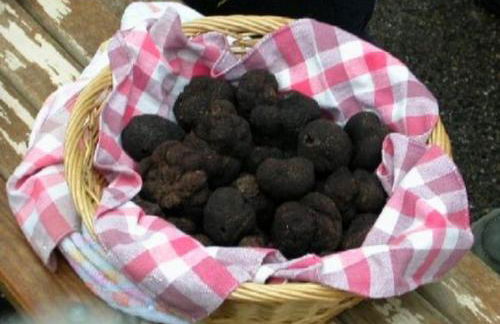 Gîte Pierre Blanche - Foto 51