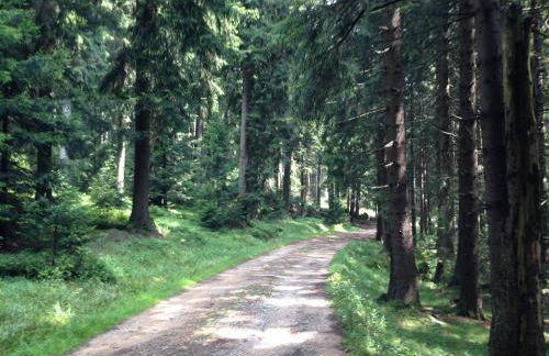Ferienhaus Kirchturmblick bei Quedlinburg - Foto 32