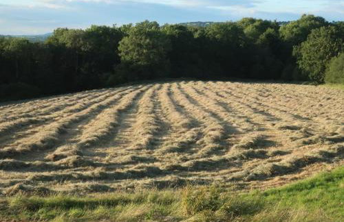 2 Bed in Chepstow oc-95046 - Foto 28