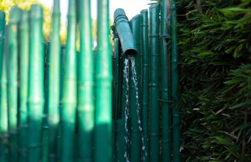 Therme Appiae - Foto 32