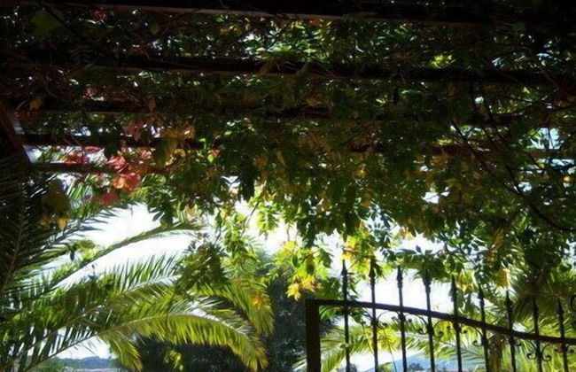 Residenza Le Due Palme - Foto 62