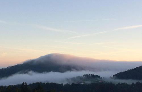 Ferienwohnung mit Aussicht im Bergdorf Steibis im Allgäu - Foto 40