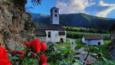 Ferienwohnungen JoJaSa - Foto 3, Garden, Garden view